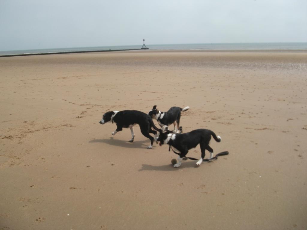 Jasmine 3* Bridlington